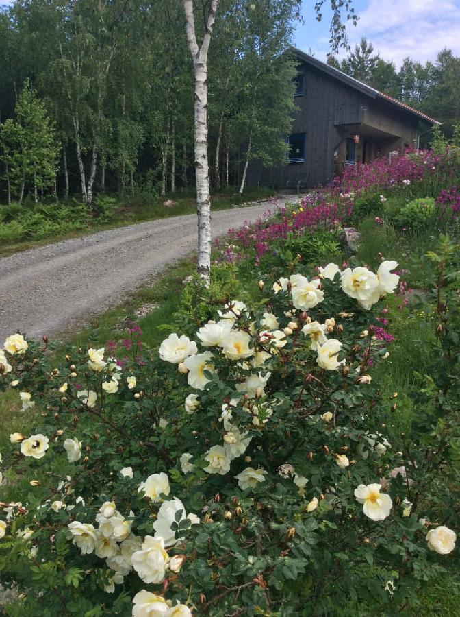 Mysig Och Modern Stuga Pa Snoegard, Naera Havet Och Naturen Lur  Eksteriør billede
